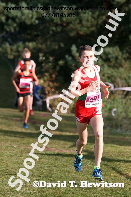 Boys under-13s, 2016 National Cross Country Relays, Berry Hill Park, Mansfield. Photo: David T. Hewitson/Sports for All Pics